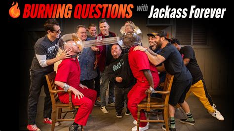 jackace|jackass 2.